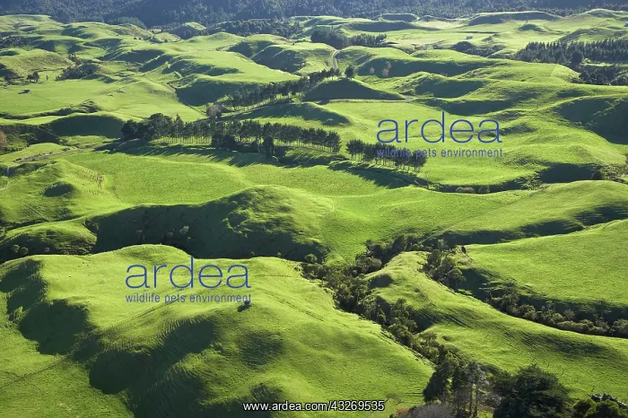 : Farmland near Okato, Taranaki, North Island : Farmland near Okato, Taranaki, North Island