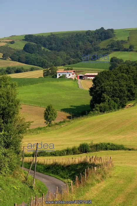 : Farmland near the village of Ainhoa, Pyrenees-Atlantiques : Farmland near the village of Ainhoa, Pyrenees-Atlantiques