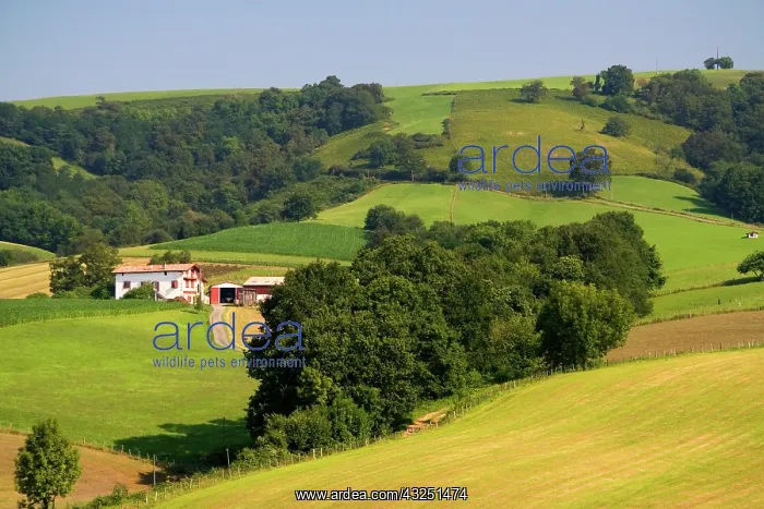 : Farmland near the village of Ainhoa, Pyrenees-Atlantiques : Farmland near the village of Ainhoa, Pyrenees-Atlantiques