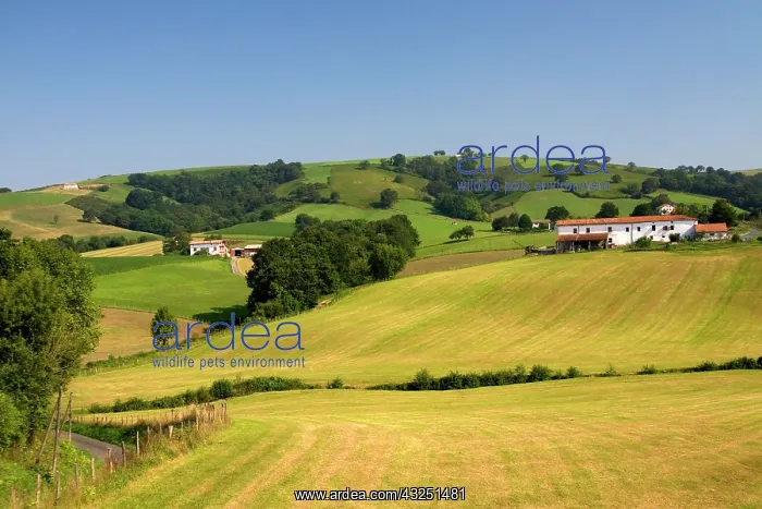 : Farmland near the village of Ainhoa, Pyrenees-Atlantiques : Farmland near the village of Ainhoa, Pyrenees-Atlantiques