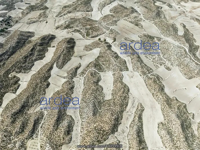 : Farmland amongst rocky outcrops. Aerial view. Drone : Farmland amongst rocky outcrops. Aerial view. Drone