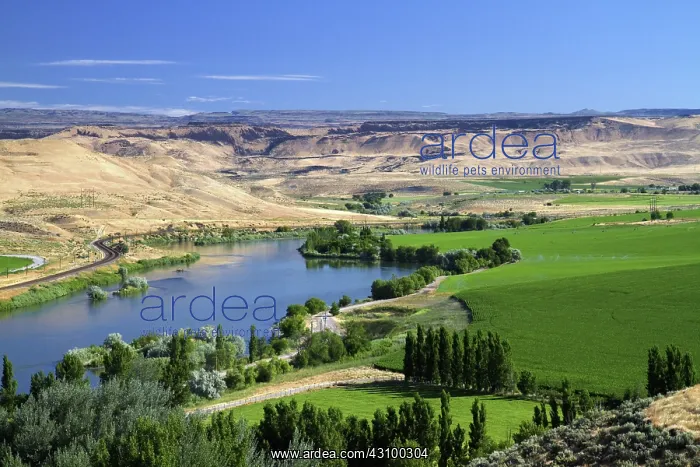 : Farmland along the Snake River : Farmland along the Snake River