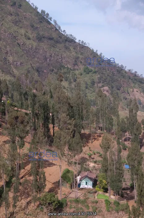  : Farmland with trees on hills