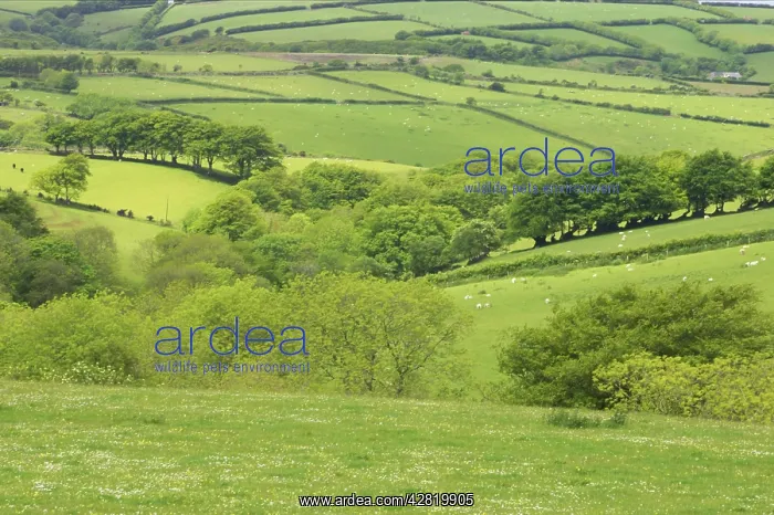 : Farmland and Wooded Valley : Farmland and Wooded Valley
