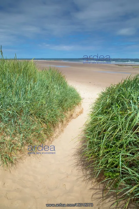 : Farne Islands from Seahouses Beach : Farne Islands from Seahouses Beach