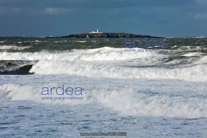 : Farne Islands - stormy sea - autumn - view from : Farne Islands - stormy sea - autumn - view from