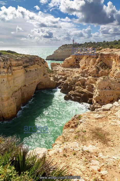 : Farol de Alfanzina, a lighthouse near Carvoeiro : Farol de Alfanzina, a lighthouse near Carvoeiro