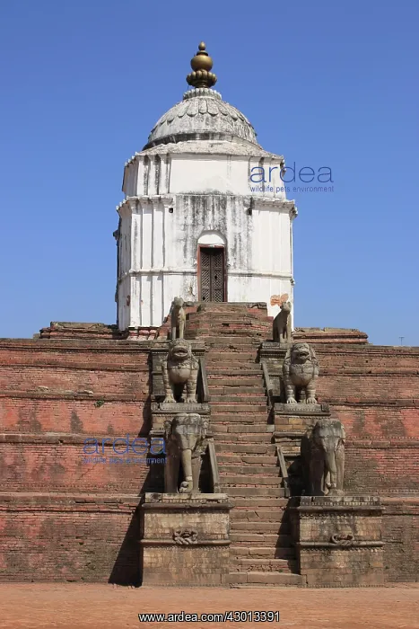 : Fasidega Temple : Fasidega Temple