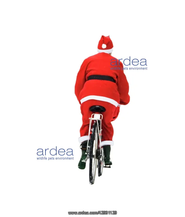  : Father Christmas