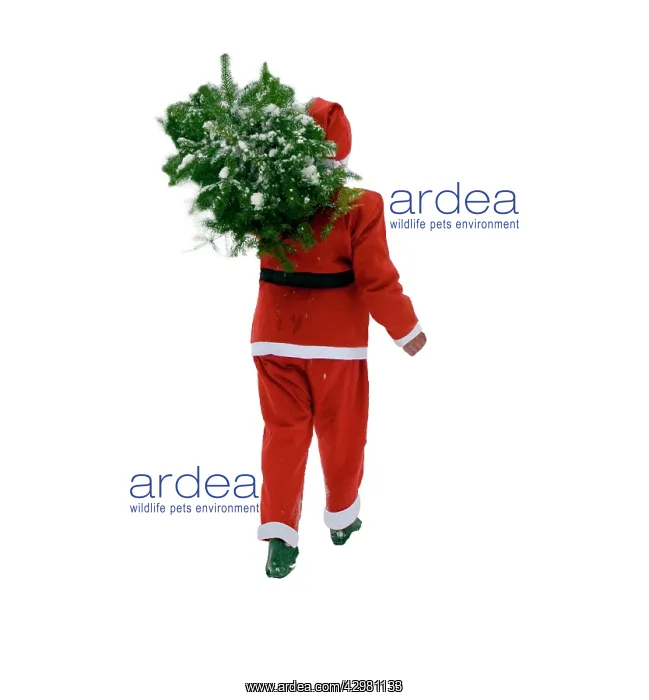 : Father Christmas : Father Christmas