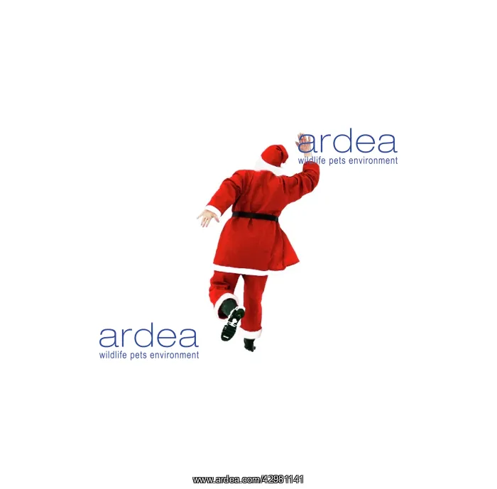  : Father Christmas