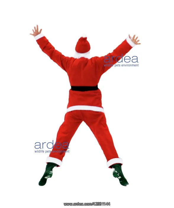  : Father Christmas