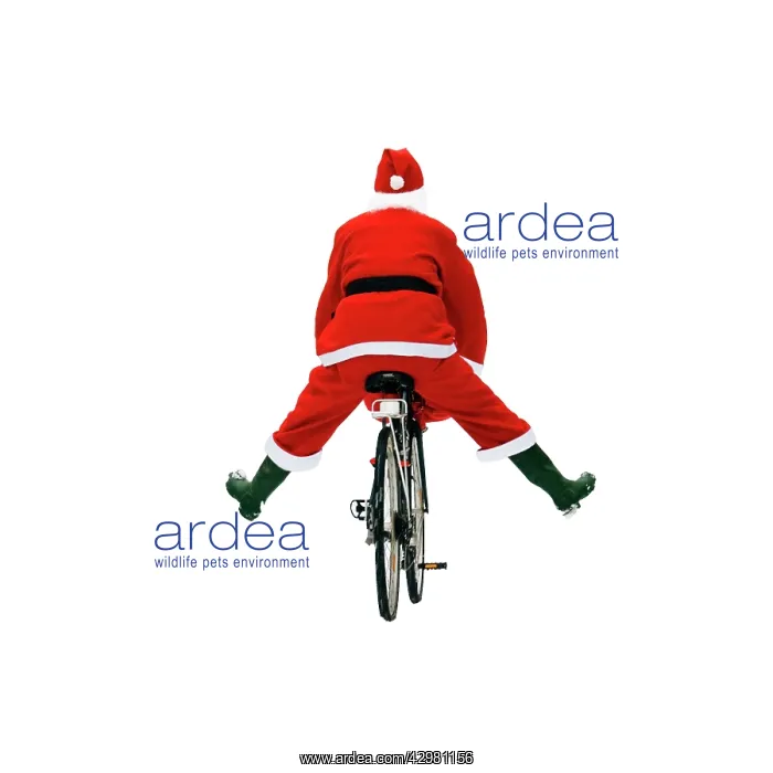 : Father Christmas : Father Christmas