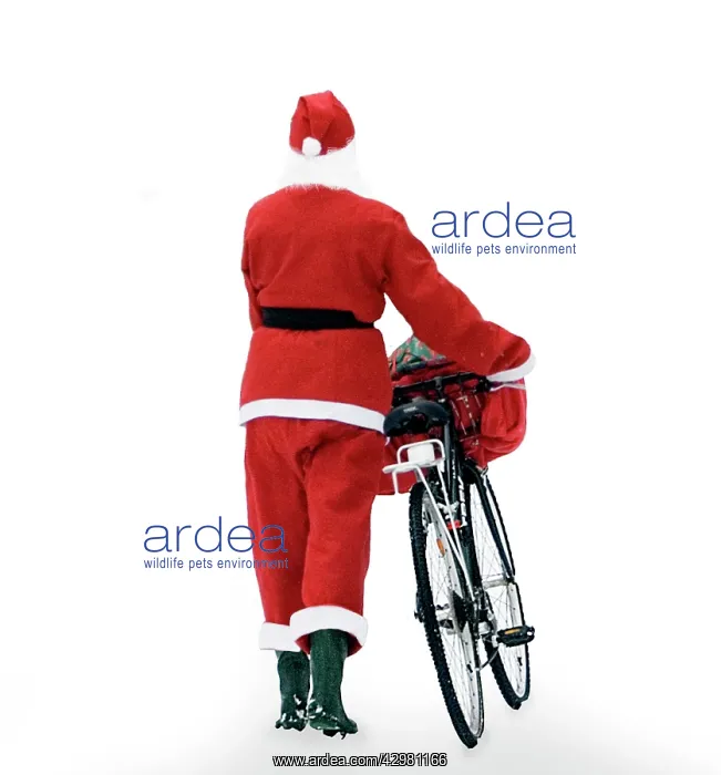  : Father Christmas