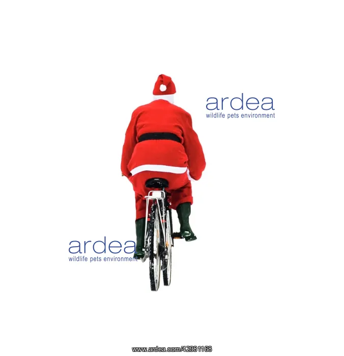  : Father Christmas