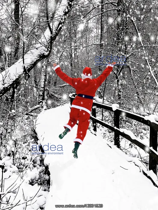 : Father Christmas : Father Christmas