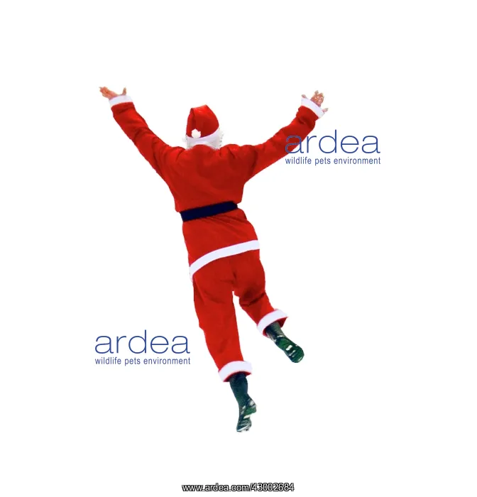  : Father Christmas