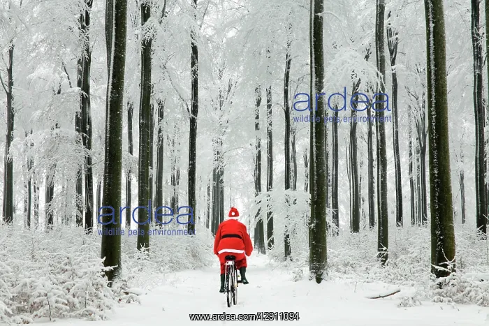 : Father Christmas - on a bicycle : Father Christmas - on a bicycle