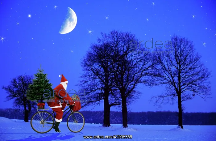 : Father Christmas - on bicycle cycling past trees : Father Christmas - on bicycle cycling past trees
