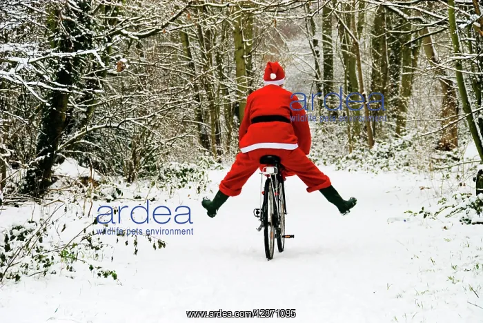  : Father Christmas - on a bicycle, freewheeling