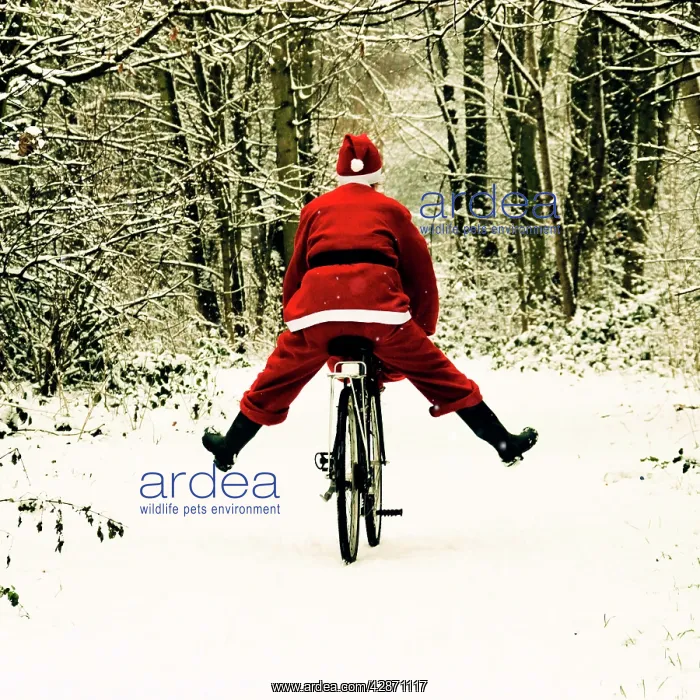  : Father Christmas - on a bicycle - freewheeling