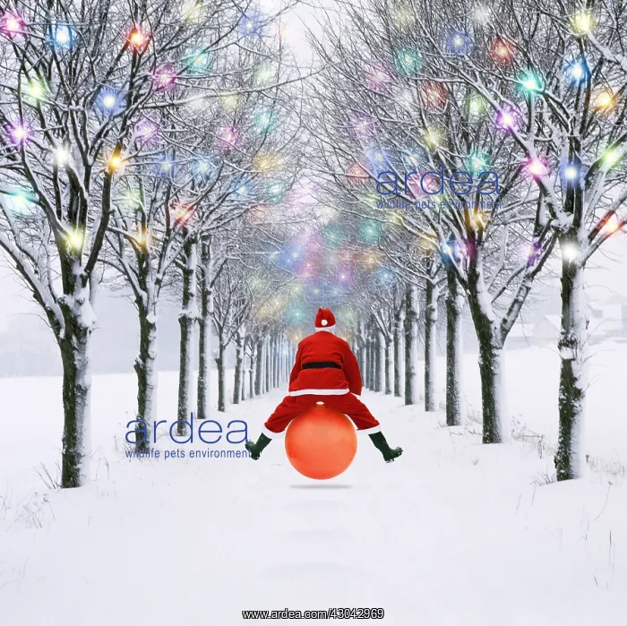 : Father Christmas bouncing on a space hopper through : Father Christmas bouncing on a space hopper through