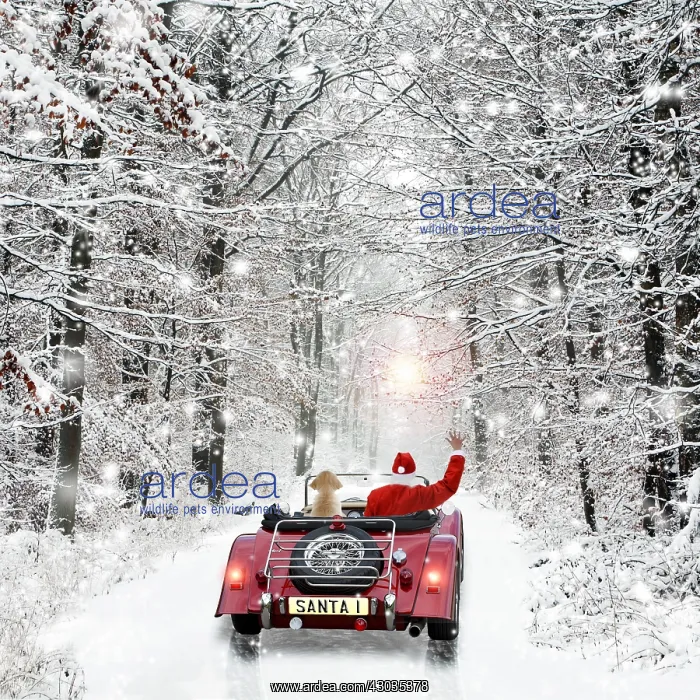  : Father Christmas, in car waving goodbye with