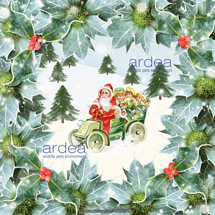 : Father Christmas and children delivering presents : Father Christmas and children delivering presents
