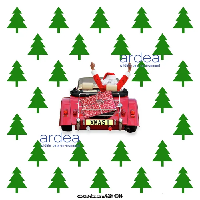: Father Christmas driving car with presents and Christmas : Father Christmas driving car with presents and Christmas
