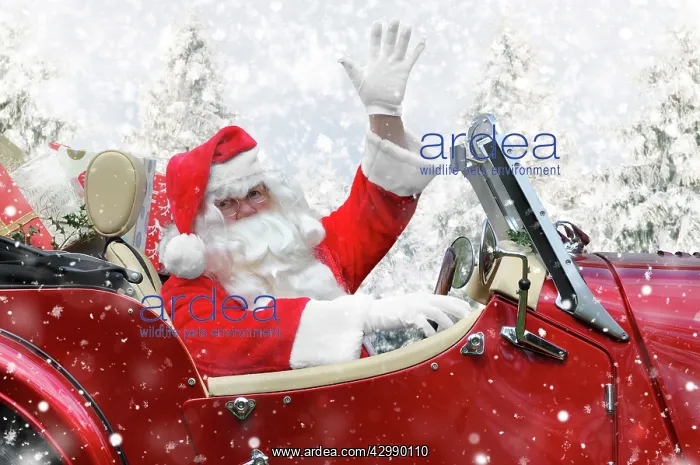 : Father Christmas driving a sports car through winter scene : Father Christmas driving a sports car through winter scene
