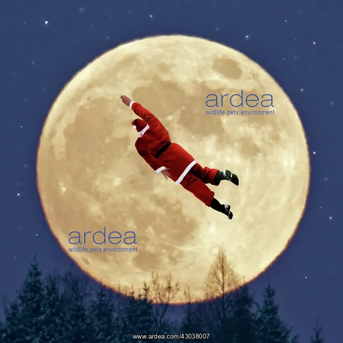 : Father Christmas - flying past a full moon - above : Father Christmas - flying past a full moon - above