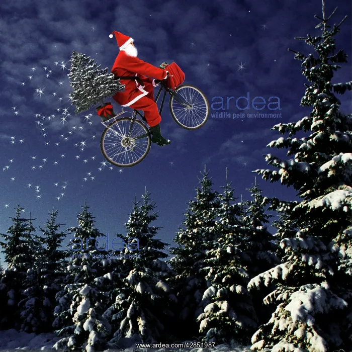  : Father Christmas - flying through winter landscape