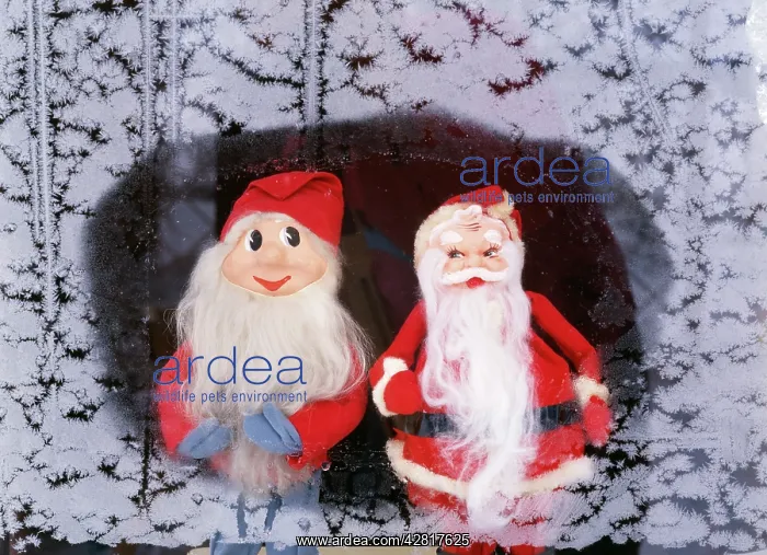 : FATHER CHRISTMAS & GNOME : FATHER CHRISTMAS & GNOME