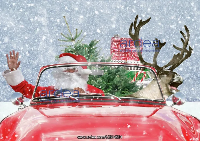 : Father Christmas & Reindeer : Father Christmas & Reindeer