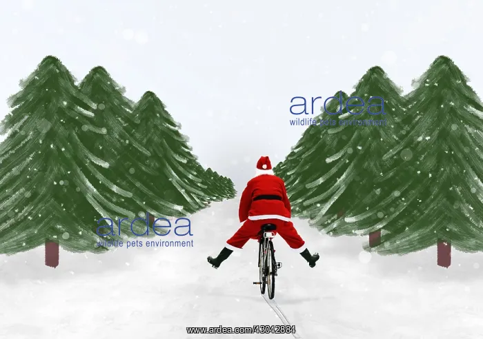  : Father Christmas riding bike through winter snow scene