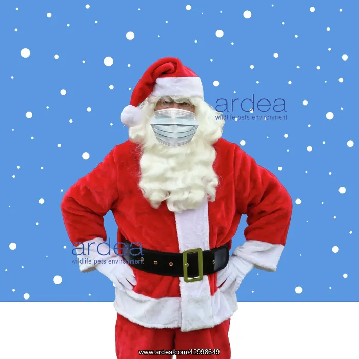 : Father Christmas / Santa Claus in illustrated snow : Father Christmas / Santa Claus in illustrated snow