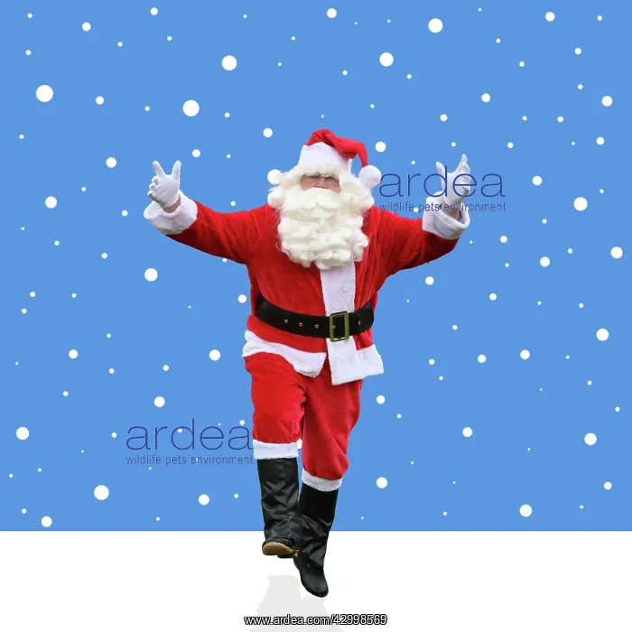 : Father Christmas / Santa Claus in illustrated snow scene : Father Christmas / Santa Claus in illustrated snow scene