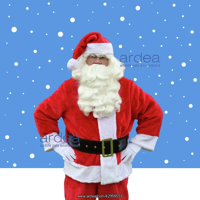 : Father Christmas / Santa Claus in illustrated snow scene : Father Christmas / Santa Claus in illustrated snow scene