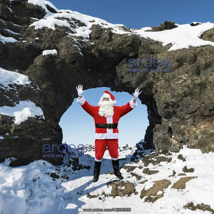: Father Christmas / Santa Claus in Natural arch : Father Christmas / Santa Claus in Natural arch
