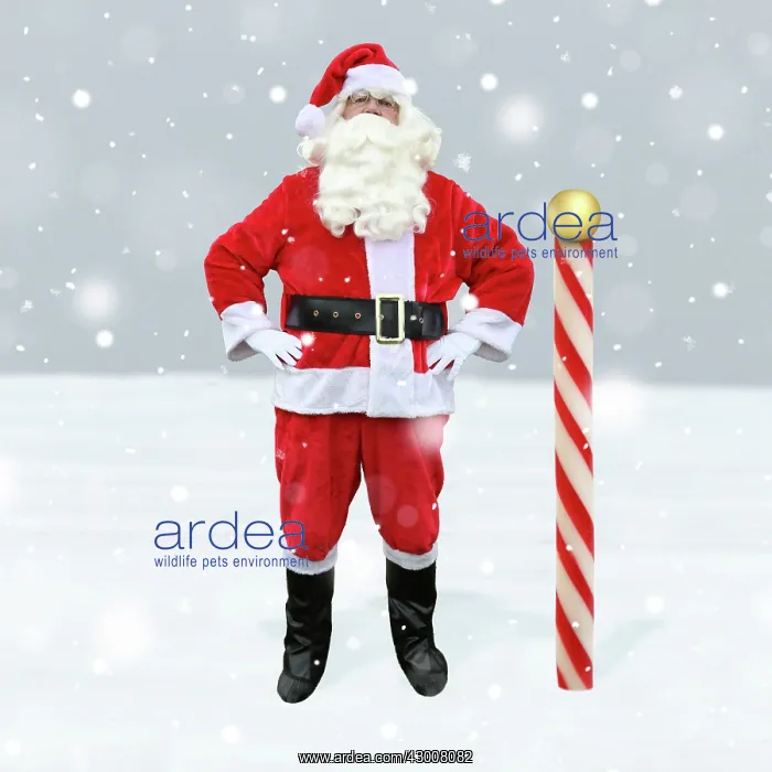: Father Christmas / Santa Claus at the North Pole : Father Christmas / Santa Claus at the North Pole