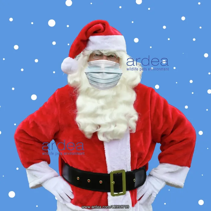 : Father Christmas / Santa Claus wearing a face mask : Father Christmas / Santa Claus wearing a face mask