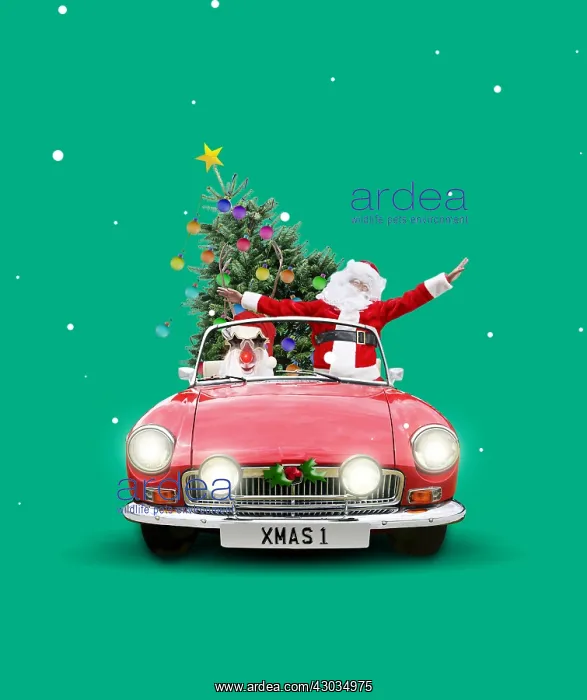  : Father Christmas  /  Santa with Rudolf the red