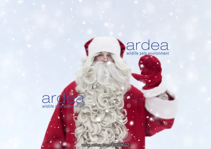  : Father Christmas  /  Santa waving