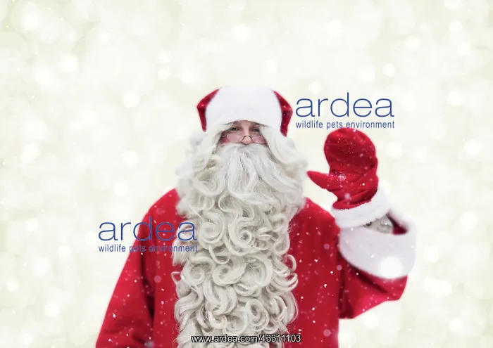 : Father Christmas / Santa waving Digital Manipulation : Father Christmas / Santa waving Digital Manipulation