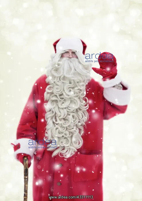 : Father Christmas / Santa waving Digital Manipulation : Father Christmas / Santa waving Digital Manipulation