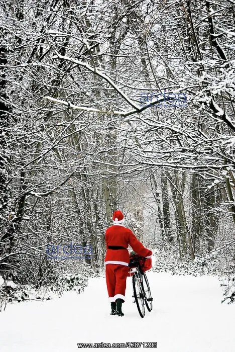  : Father Christmas - in snow - with bicycle