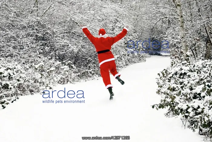  : Father Christmas - in snow covered avenue