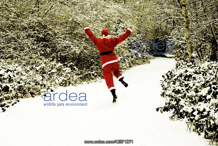  : Father Christmas - in snow covered avenue