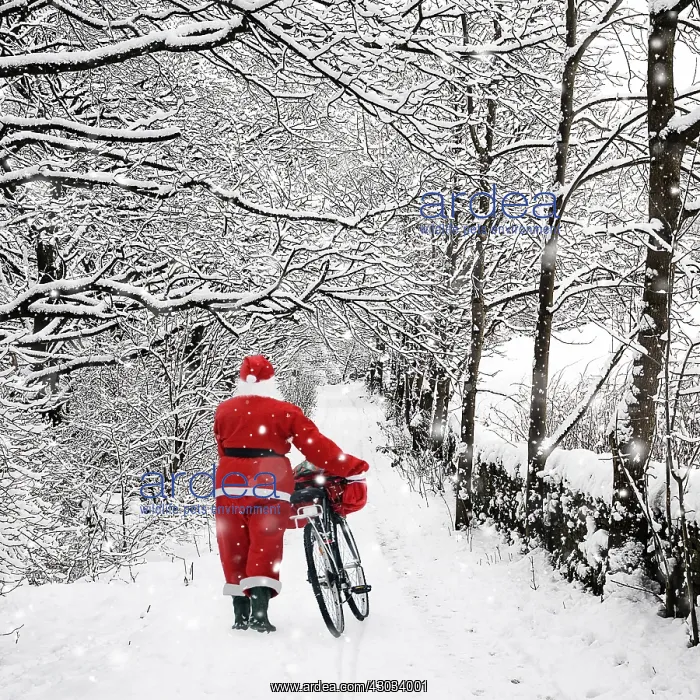  : Father Christmas walking bike through country