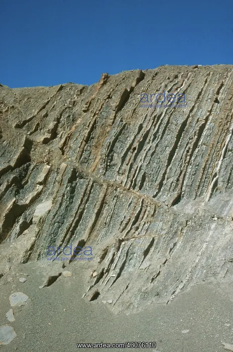 : Fault in Sedimentary Strata : Fault in Sedimentary Strata